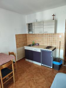 Kuchyň nebo kuchyňský kout v ubytování Apartments Ivo