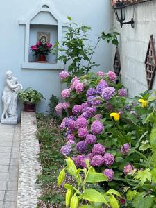 um jardim com flores roxas em frente a um edifício em Casa Del Mare em Černomorec