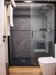 a bathroom with a glass shower with a toilet at VR OBREGON APARTMENTS in Madrid