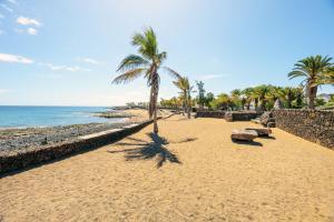 a sandy beach with palm trees and the ocean at Lanzahost Tuscan Atlantico in Costa Teguise +6 photos