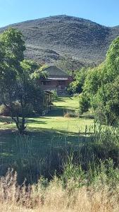 a house in a field with a hill in the background at Willow's Rest in Barrydale