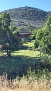 a house in a field with a hill in the background at Willow's Rest in Barrydale +19 photos