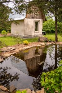Příroda nedaleko bed and breakfast