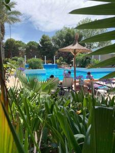 uma piscina com guarda-sol e pessoas sentadas em cadeiras em Appartement Cosy Tout Confort PARKING AC WIFI LINEN GARDEN INCLUDED complex access extra em Canet-en-Roussillon