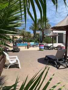 un patio con tumbonas y una piscina en Appartement Cosy Tout Confort PARKING AC WIFI LINEN INCLUDED pool access extra en Canet-en-Roussillon
