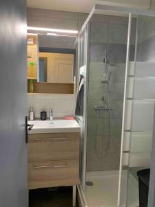 een kleine badkamer met een douche en een wastafel bij Appartement Cosy Tout Confort PARKING AC WIFI LINEN GARDEN INCLUDED complex access extra in Canet-en-Roussillon