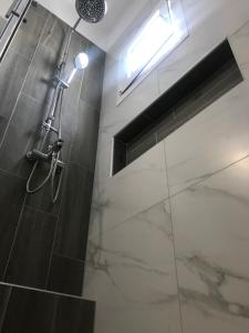 a bathroom with a shower with a glass door at Bafas Apartments in Plataria