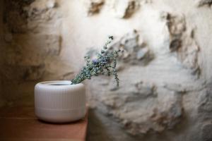 TognazzaAgriturismo Casalino18的相册照片