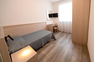 TV a/nebo společenská místnost v ubytování Hotel Posta