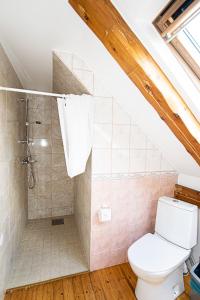 un baño con inodoro y ducha en Kerese Apartments, en Pärnu 31 fotos más