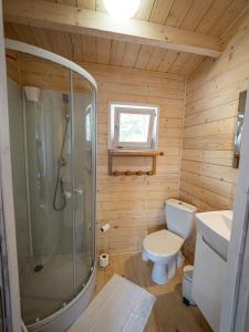 a small bathroom with a toilet and a shower at Kolorowe Zacisze 