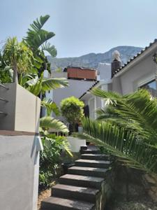 a stairway leading up to a house with palm trees at Villa Coma in Denia