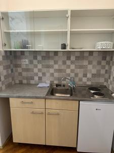 a kitchen with a sink and a counter top at Apartments & Room - Korzo in Sombor