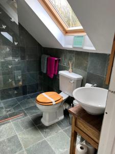 a bathroom with a toilet and a sink at Studio Apartment in Wells
