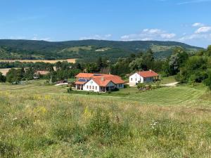 una casa en medio de un campo en Bánvölgye Vendégház és Rendezvényház en Bánhorváti