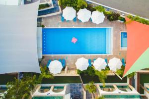 Bazén v ubytování Latchi Escape Hotel and Suites nebo v jeho okolí