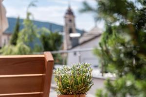 Táj az apartmanhotel közelében