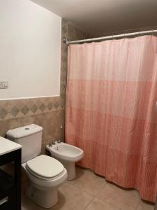 a bathroom with a toilet and a shower curtain at DEPTO MAC in Esquel