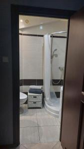 ギジツコにあるApartament CENTRUMのバスルーム(シャワー、トイレ、シンク付)