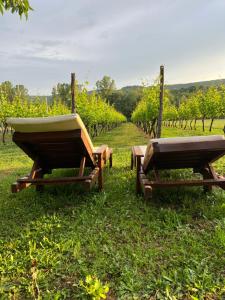 ポドゴリツァにあるPurple Eye Camp & Wineryのブドウ畑前のピクニックテーブル2台