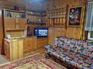 a living room with a couch and a tv at Počitniška hiša LIPA in Zreče