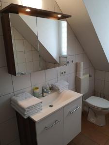 ein Badezimmer mit Waschbecken, Toilette und Spiegel in der Unterkunft Tuniberg Restaurant Hotel in Freiburg im Breisgau