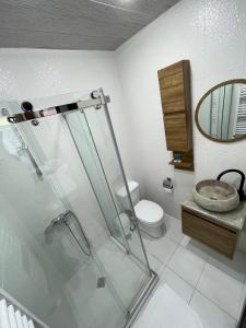 a bathroom with a shower and a toilet and a sink at Four Seasons Hotel in Batumi