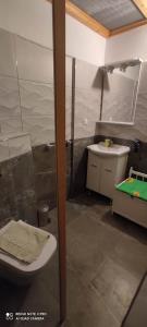 フジネにあるApartman Malinaのバスルーム(シャワー、トイレ、シンク付)