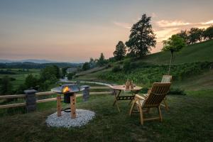 een patio met een tafel en stoelen en een vuurplaats bij Vineyard Cottage Krivic in Trebelno
