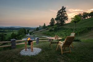 un patio con tavolo, sedie e braciere di Vineyard Cottage Krivic a Trebelno