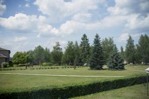 duże trawiaste pole z drzewami w tle w obiekcie VESK Veisiejai w mieście Veisiejai