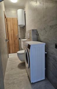 Ένα μπάνιο στο Studio apartman Borlin