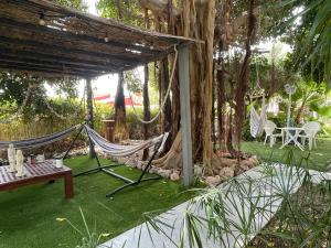 a hammock in a garden with a tree at 1 Habitación con baño privado frente a la piscina, máximo para 4 personas, No es la casa completa,1cama y 1 sofa-cama in San Vicente del Raspeig