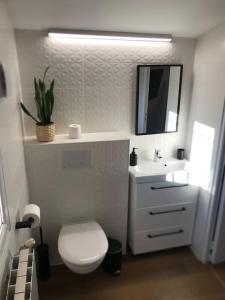 bagno con servizi igienici, lavandino e specchio di Appartement duplex avec terrasse a Venelles