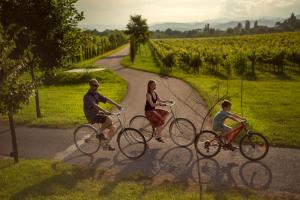 a group of people riding bikes down a road at Lopota Lake Resort & Spa in Napareuli