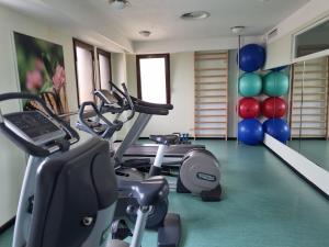 Fitness centrum a/nebo fitness zařízení v ubytování Ensana Butterfly