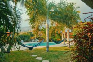 a hammock between two palm trees next to a pool at LES PECHEURS DU LAGON in Saint-Leu