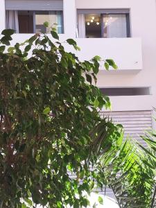 ein grüner Baum vor einem weißen Gebäude in der Unterkunft Cosy appartement proche de l'aéroport mohamed 5 in Deroua