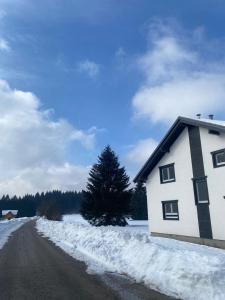 una casa al lado de una carretera cubierta de nieve en Kuća za odmor Evolo, en Skrad