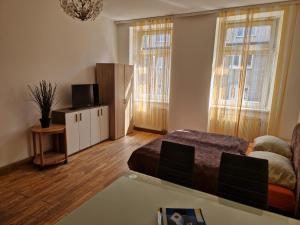 Televízia a/alebo spoločenská miestnosť v ubytovaní Apartments Keinergasse 18-contactless check-in!