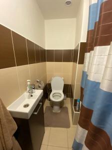 Bilik mandi di Apartmán s nádherným výhľadom na Tatry +9 gambar