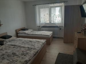 Postel nebo postele na pokoji v ubytování Apartmán LUKA