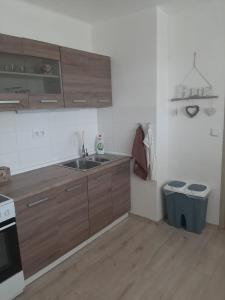 een keuken met houten kasten, een wastafel en een fornuis bij Apartmán LUKA in Buchlovice