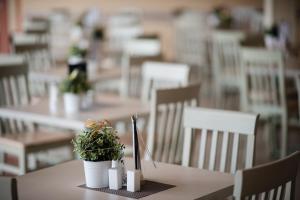 A restaurant or other place to eat at JUFA Hotel Stubenbergsee
