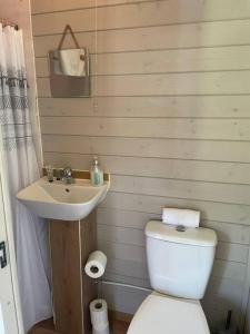 a bathroom with a white toilet and a sink at Lakeside Shepard's Hut 'Sanderling' in Bishampton