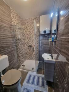 a bathroom with a toilet and a sink and a shower at Studio apartment LENI in Banjole