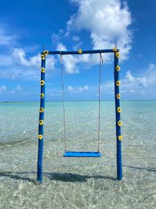 a swing in the water on the beach at Village Miramar in Maragogi