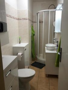 カルロフにあるKarlov pod Pradědem Apartmány Orbitのバスルーム(トイレ、洗面台、シャワー付)
