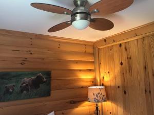 een plafondventilator in een kamer met houten wanden bij Hush Lodge and Cottages 