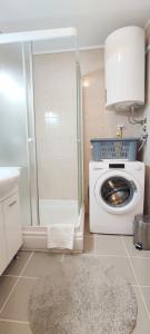 La salle de bains est pourvue d'un lave-linge et d'une douche. dans l'établissement Apartman Fani, à Dubrovnik